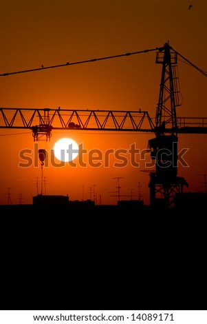 Construction crane close-up in summer sunset