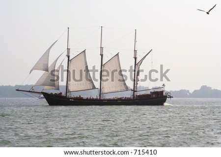 A Pirate Ship Sailing in Toronto Harbor