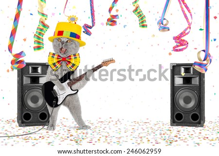 Cat with guitar in middle of confetti and streamer