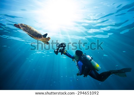 diver takes photo of sea turtle in the blue ocean