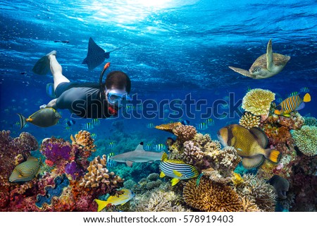 young men snorkeling exploring underwater coral reef landscape background  in the deep blue ocean with colorful fish and marine life