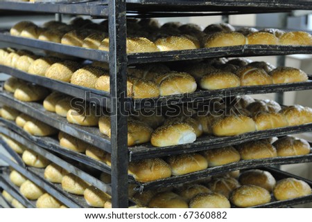 bread bakery food factory production with fresh products