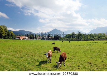 Countryside Background Pictures