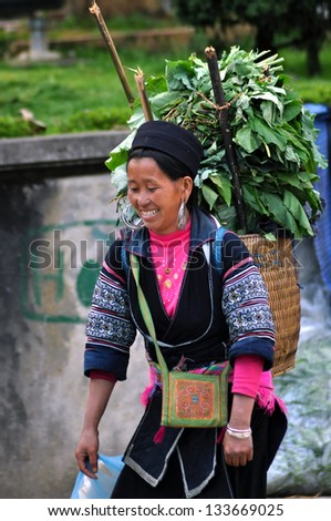 SAPA Ã¢Â?Â? FEB 22: An unidentified Hmong tribe woman carrying a pack with herbs on her back in Sapa. Hmong people are one of the largest ethnic minorities in Vietnam.  On Feb. 22, 2013 in Sapa, Vietnam