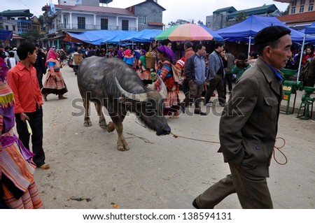 BAC HA - FEB 23: Unidentified man selling a buffalo in Bac Ha market. The market is a must see destination for every traveler in Vietnam. On Feb 23, 2013 in Bac Ha, Sa Pa, Vietnam