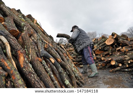 LUPENI, ROMANIA - APRIL19: An unidentified man works in charcoal production on April 19, 2012 in Lupeni, Romania. The charcoal produced here has the highest quality in Europe and is exported worldwide