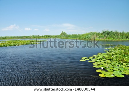 Beautiful quiet water channel with swamp vegetation in the Danube Delta, Romania. The second largest river delta in Europe, after the delta of Volga, is part Unesco World Heritage Site from 1991