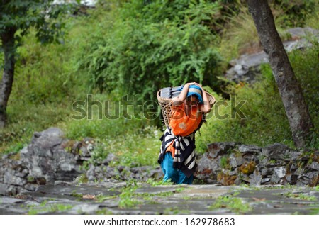 GHANDRUK - OCT 6: A young Gurung woman carrying a basket in the mountains. Gurungs are the biggest ethnic group and part of them working as Sherpas in the Himalayas. On Oct 6, 2013 in Ghandruk, Nepal