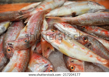 Fresh orange fish in a fish market