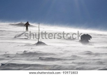 Back country skier (ski touring), walking up to a snowed mountain