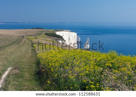 The Old Harry Rocks are chalk formations, located at Handfast Point, on the Isle of Purbeck in Dorset, southern England. (With Bournemouth in the background)