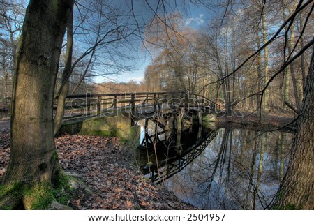Footbridge in the Frankfurt City Forest, Germany