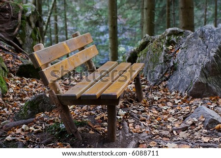 Empty bench in Alpine forest, Germany