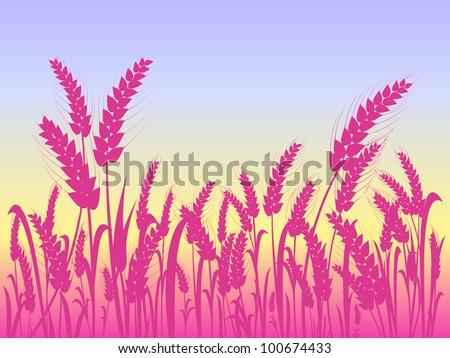 wheat silhouette vector