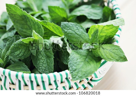 basket full of fresh mint - herbs and spices /shallow DOFF/