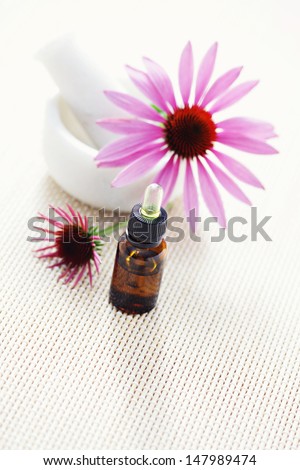 echinacea purpurea alternative medicine - beauty treatment
