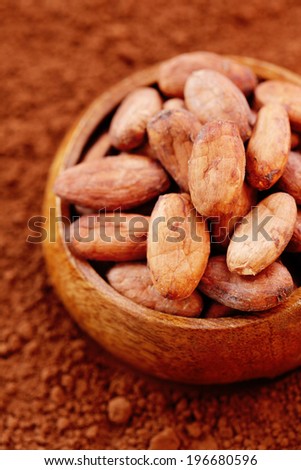 raw cocoa beans on cocoa powder - food and drink