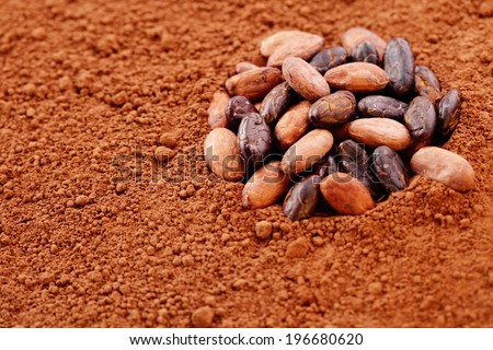 raw cocoa beans on cocoa powder - food and drink