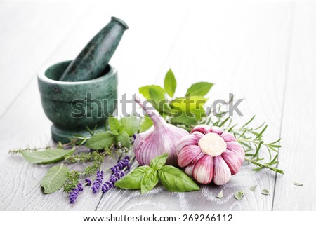 fresh herbs with garlic - herbs and spices