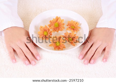 bowl of pure water and spring flowers - hands care