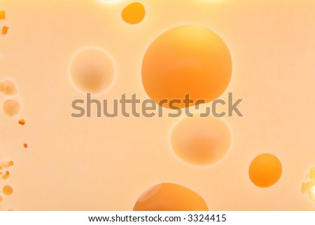 piece of cheese close-ups - cheese background