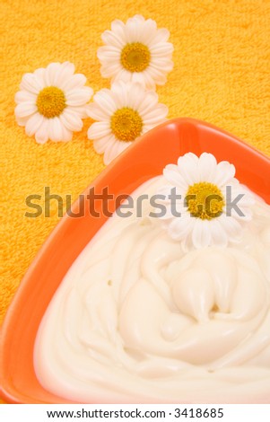 close-ups of camomile cream - beauty treatment