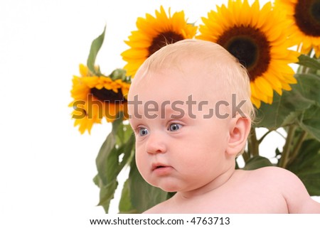 10 months baby girl in sunflowers on white