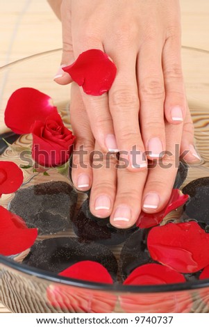 beautiful female hands and bowl of pure water with rose petals