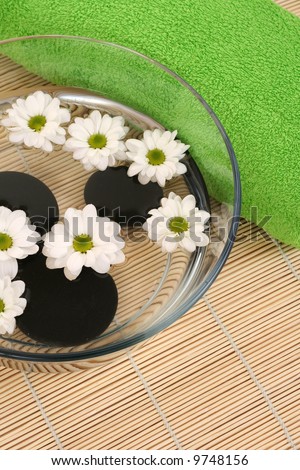 bowl of water with daisy flowers and towel