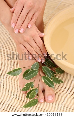 beautiful legs and hands - beauty treatment - bowl of pure water