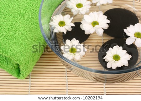 bowl of water with daisy flowers and towel