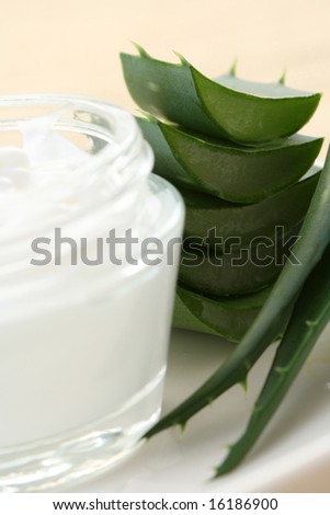 health and beauty - aloe cream and aloe vera
