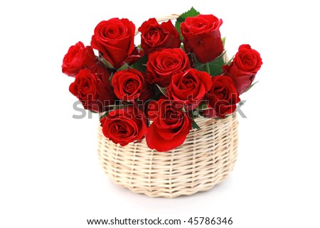 full of red roses on white