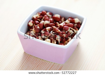 bowl of kidney beans sprout - food and drink
