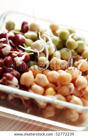 bowls of different vegetable beans sprouts - food and drink