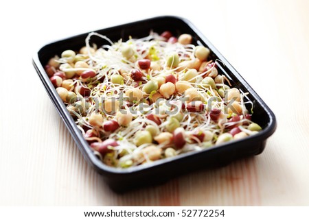 box of different vegetable beans sprouts - food and drink