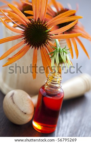 echinacea oil alternative medicine - beauty treatment