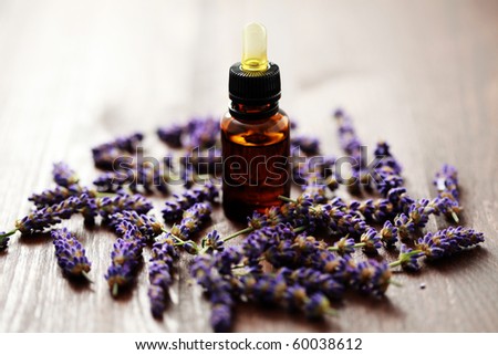 bottle of lavender massage oil with fresh lavender flowers - beauty treatment