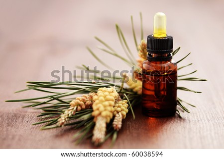 fir tree essential oil on dark background - beauty treatment