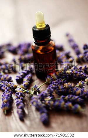 bottle of lavender massage oil with fresh lavender flowers - beauty treatment