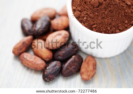 bowl of raw cocoa - food and drink  /shallow DOF/