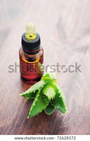 bottle of aloe vera essential oil with fresh plant - beauty treatment
