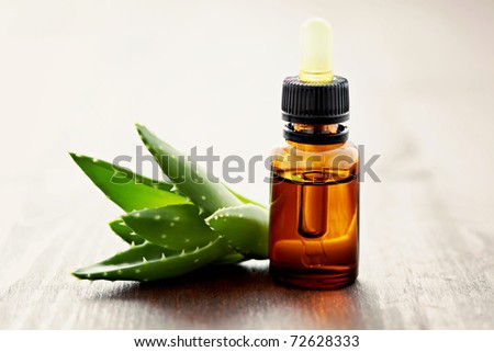 bottle of aloe vera essential oil with fresh plant - beauty treatment