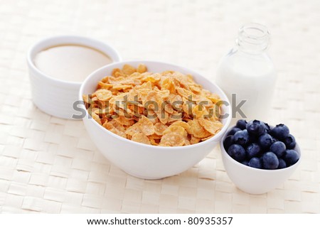 bowl of cereals with blueberry and milk - diet and breakfast