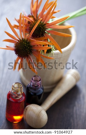 echinacea oil alternative medicine - beauty treatment