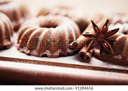 small cake with gingerbread spices - sweet food /shallow DOFF/