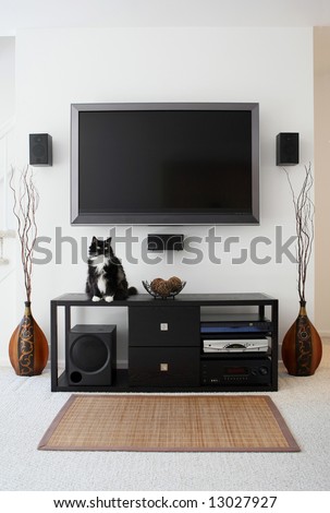 Family pet sitting on home theater