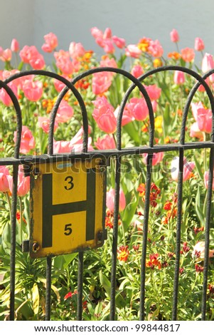 Pink tulip flowers behind metal fence with sign