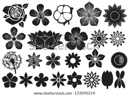 Collection Of Flowers (Flower Set, Lotus Flower, Dandelion, Cherry Blossom Flower, Rose, Cotton, Tulip, Violet, Hibiscus)