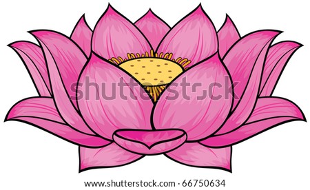 stock vector Lotus flower